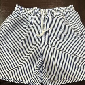 Blue and White Striped Swim Trunks